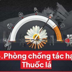 Mẫu Slide Tuyên truyền Thuốc lá & Tác hại thuốc lá truyền thống 13 Mau slide tuyen truyen phong chong ta hai thuoc la thuoc la truyen thong slidetot 6