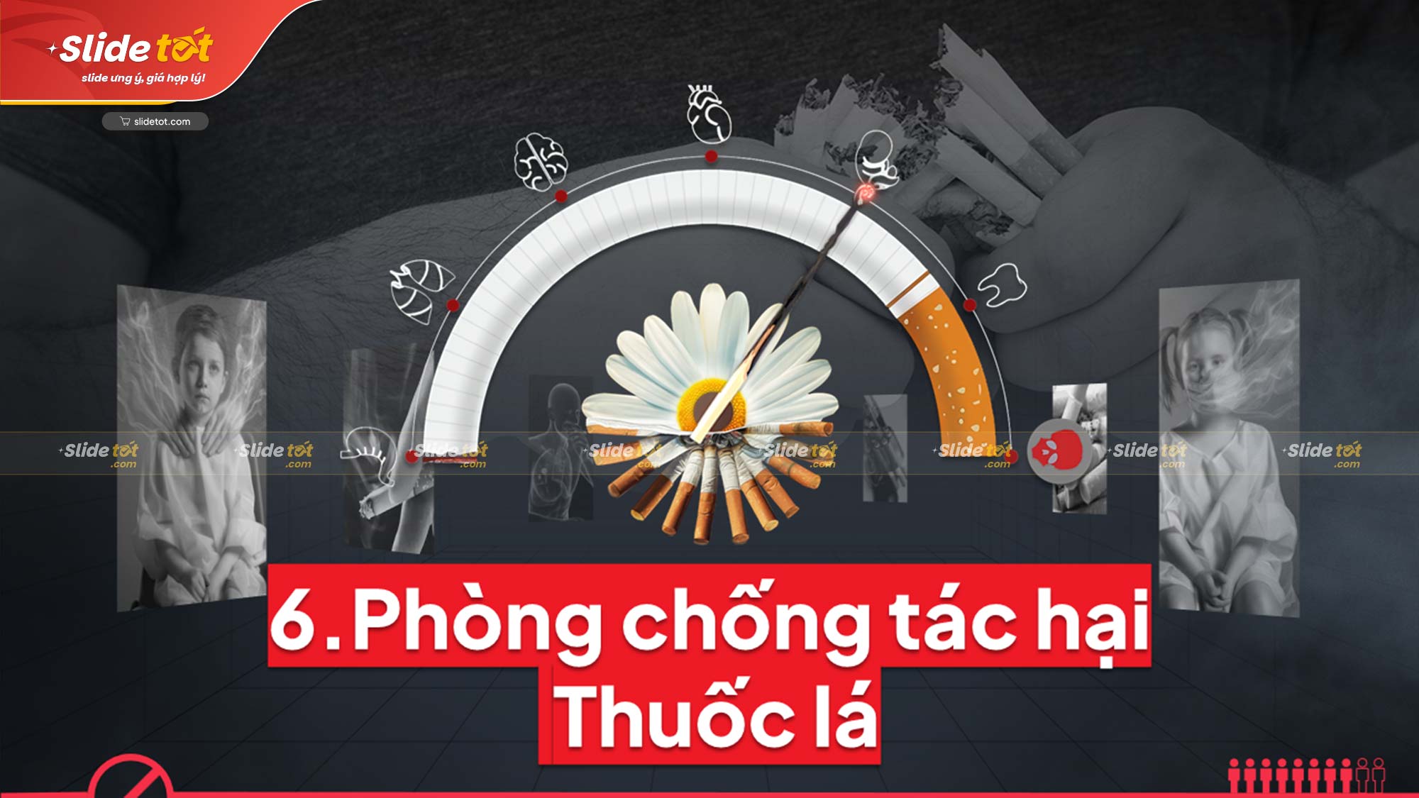 Mẫu Slide Tuyên truyền Thuốc lá & Tác hại thuốc lá truyền thống 8 Mẫu Slide Tuyên truyền Thuốc lá & Tác hại thuốc lá truyền thống - Ảnh 6