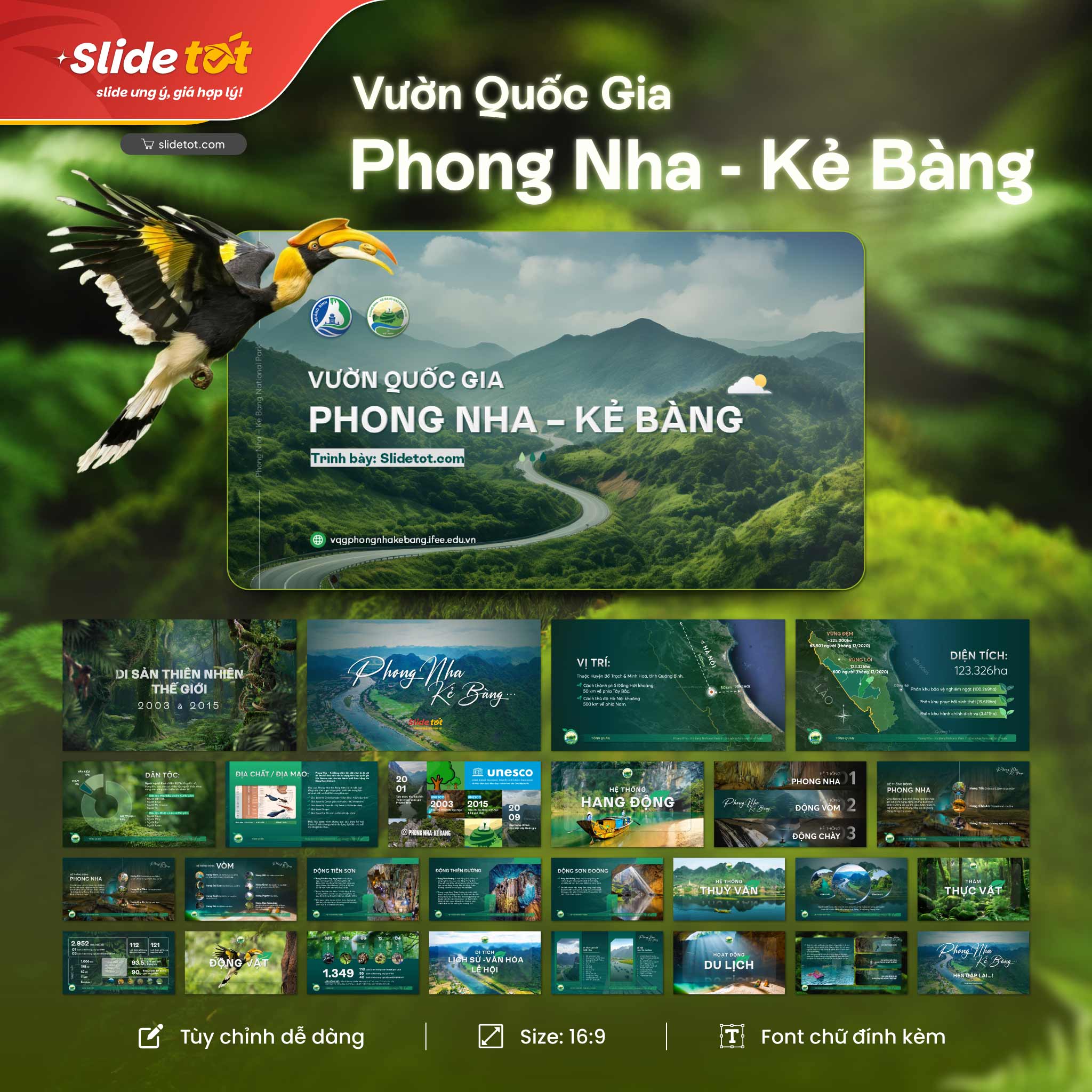 Mẫu Slide bảo vệ rừng: Vườn quốc gia Phong Nha Kẻ Bàng (National Park Phong Nha) 3 Mẫu Slide bảo vệ rừng: Vườn quốc gia Phong Nha Kẻ Bàng (National Park Phong Nha)