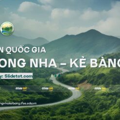 Mẫu Slide bảo vệ rừng: Vườn quốc gia Phong Nha Kẻ Bàng (National Park Phong Nha) 12 mau slide bao ve rung vuon quoc gia phong nha ke bang national park phong nha slidetot 2