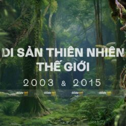 Mẫu Slide bảo vệ rừng: Vườn quốc gia Phong Nha Kẻ Bàng (National Park Phong Nha) 13 mau slide bao ve rung vuon quoc gia phong nha ke bang national park phong nha slidetot 3