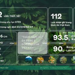 Mẫu Slide bảo vệ rừng: Vườn quốc gia Phong Nha Kẻ Bàng (National Park Phong Nha) 16 mau slide bao ve rung vuon quoc gia phong nha ke bang national park phong nha slidetot 6