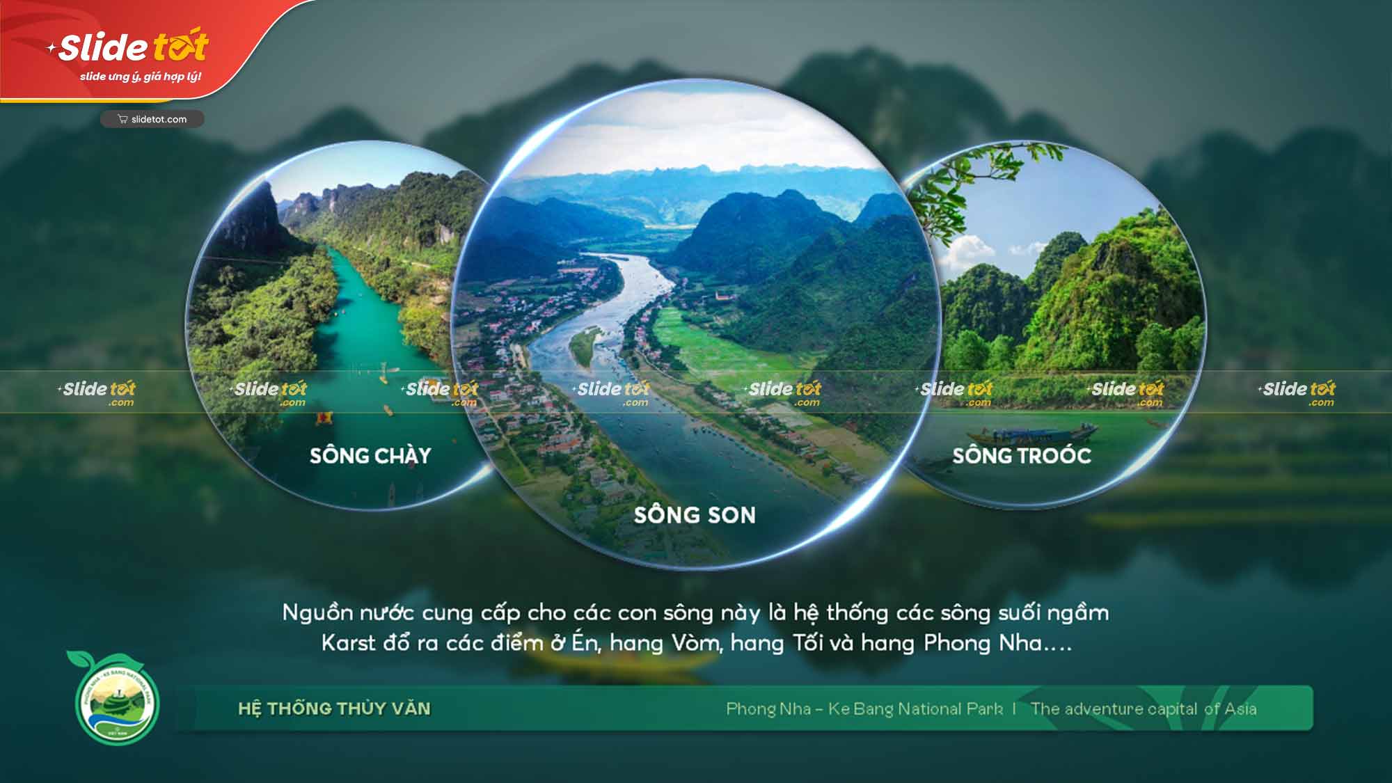 Mẫu Slide bảo vệ rừng: Vườn quốc gia Phong Nha Kẻ Bàng (National Park Phong Nha) 10 Mẫu Slide bảo vệ rừng: Vườn quốc gia Phong Nha Kẻ Bàng (National Park Phong Nha) - Ảnh 8