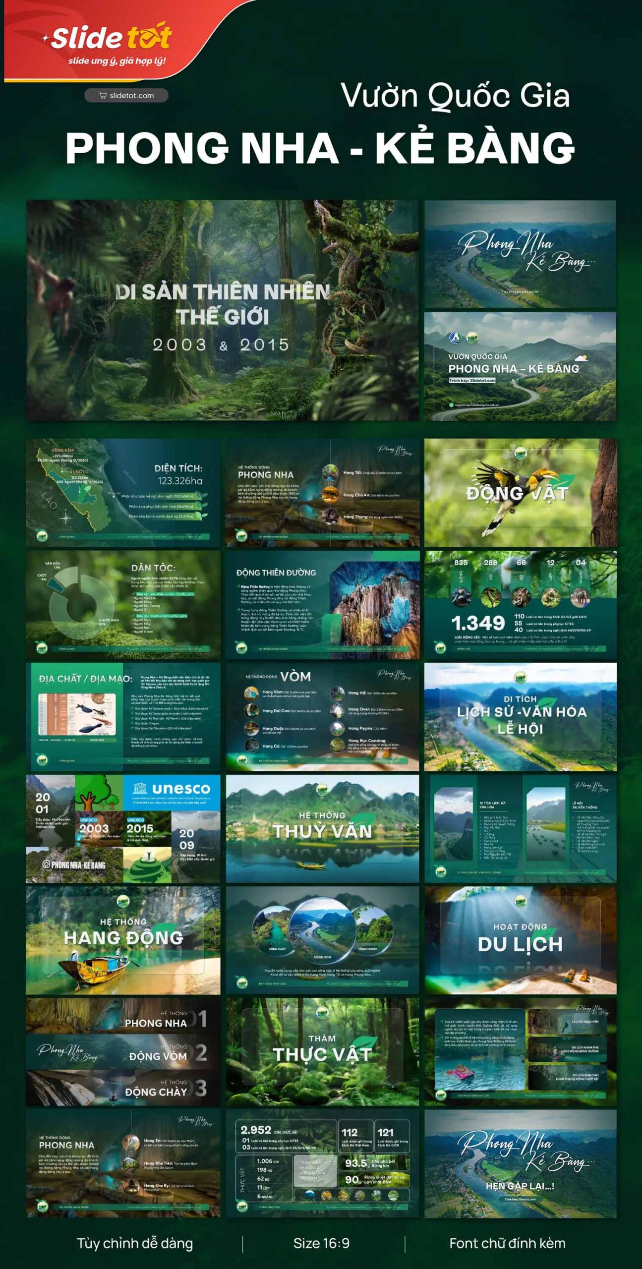 Mẫu Slide bảo vệ rừng: Vườn quốc gia Phong Nha Kẻ Bàng (National Park Phong Nha) 4 Mẫu Slide bảo vệ rừng: Vườn quốc gia Phong Nha Kẻ Bàng (National Park Phong Nha) - Ảnh 2