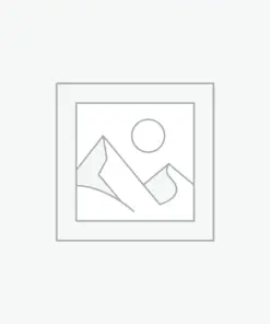 Mẫu Slide Thuyết Trình